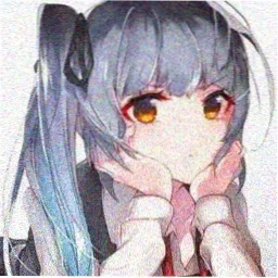 二次元司机